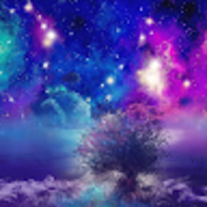 Meet your Posher, Valentin